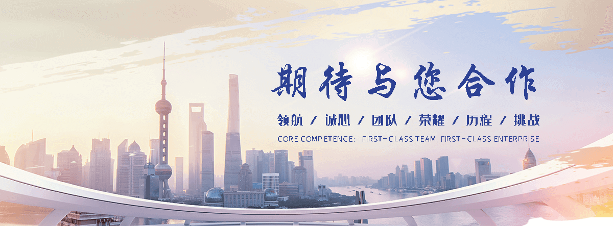 勉县海狮租赁公司
